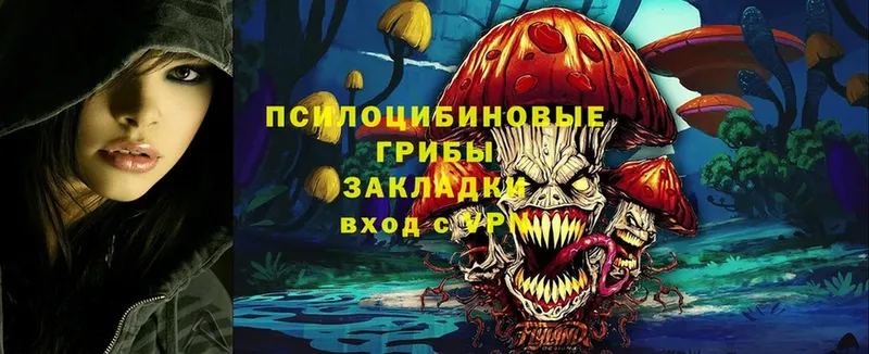 закладки  hydra   Псилоцибиновые грибы MAGIC MUSHROOMS  Полярные Зори 